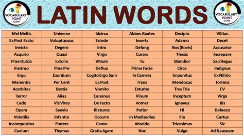 Latin word maging malakas o matatg